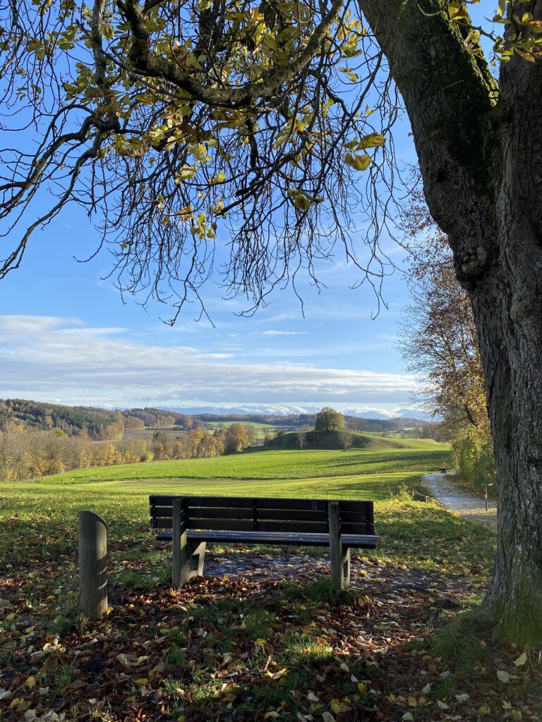 Am Doktorbankerl _web