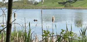 Am Egglburger See_web (2)