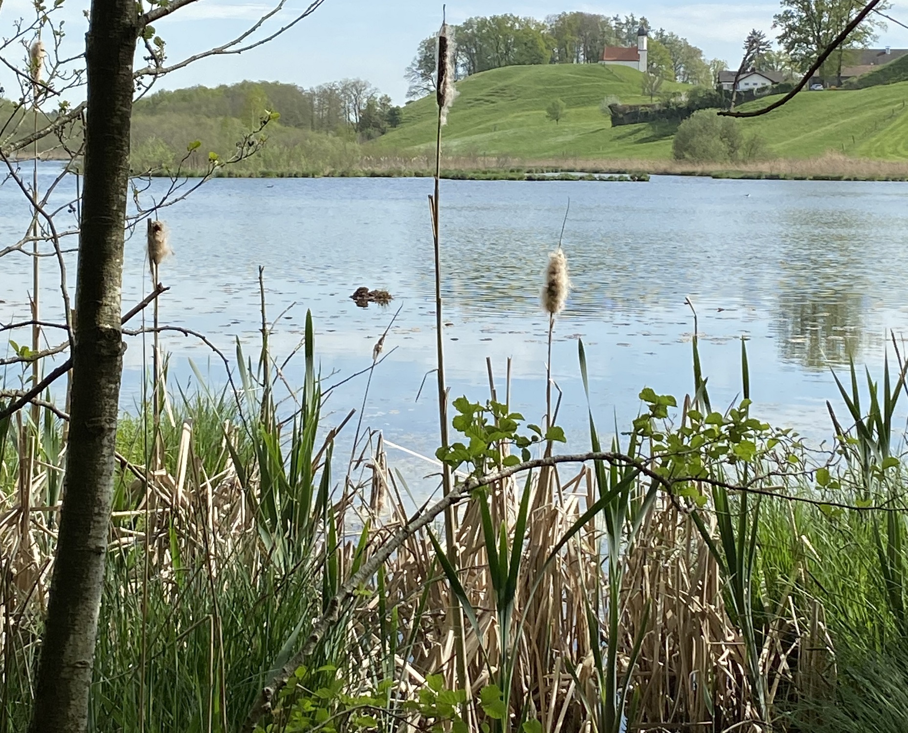 Am Egglburger See_web (2)